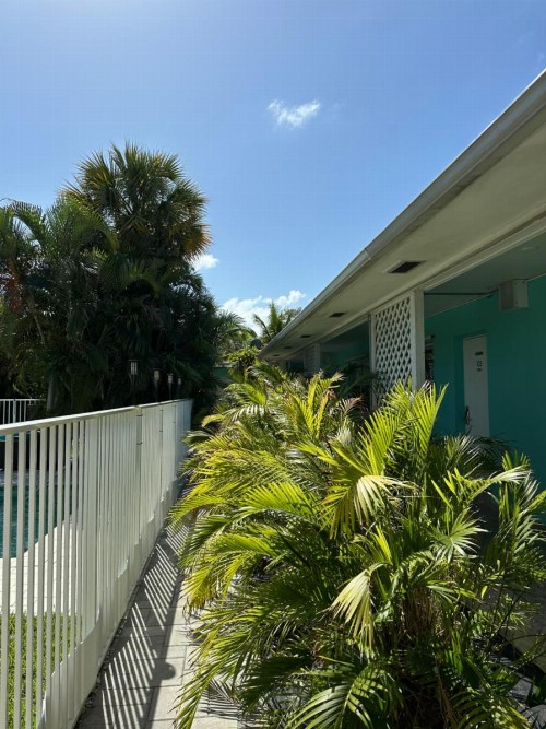 White Horse Motel - image 14