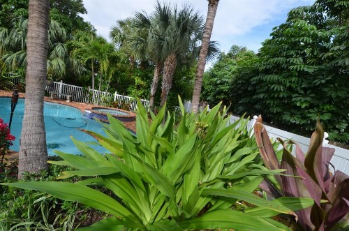 Beautiful Home with a Magical Pool - image 10