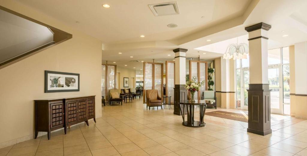 Hilton Garden Inn Lakeland - image 7