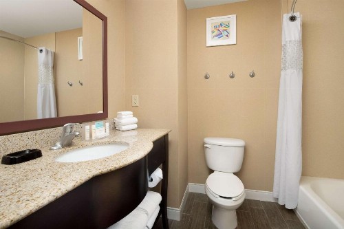 Hampton Inn & Suites Lakeland-South Polk Parkway - image 7