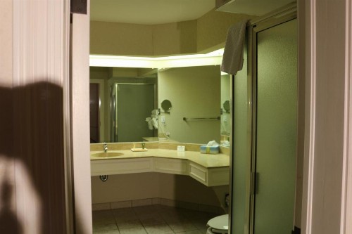 Imperial Swan Hotel and Suites Lakeland - image 2
