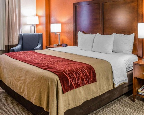 Comfort Inn & Suites Lakeland North I-4 - image 27