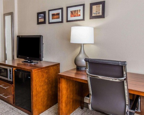 Comfort Inn & Suites Lakeland North I-4 - image 7