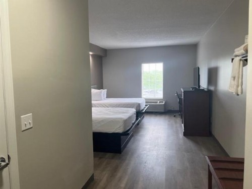 Baymont by Wyndham Lakeland - image 3