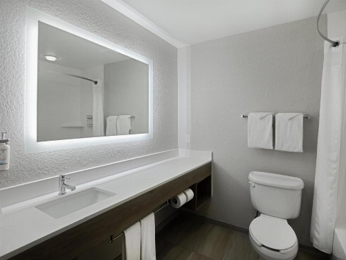 Holiday Inn Express & Suites Lakeland North I-4 an IHG Hotel - image 10