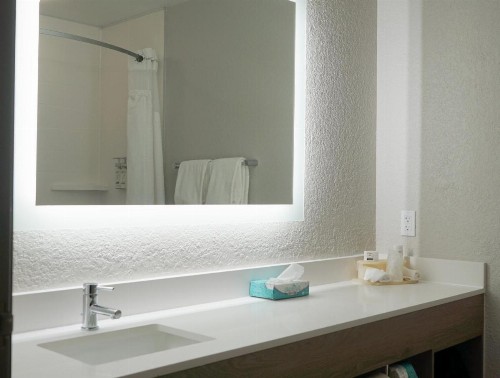 Holiday Inn Express & Suites Lakeland North I-4 an IHG Hotel - image 30