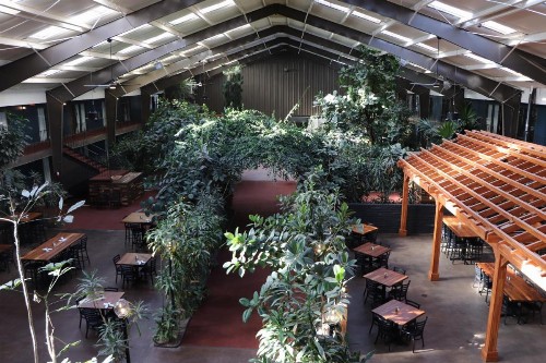 Rodeway Inn Cow Palace - image 25