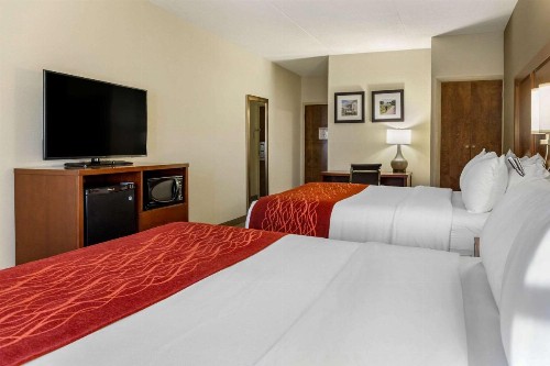 Comfort Inn Lancaster at Rockvale - image 22