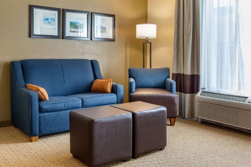 Comfort Suites Amish Country - image 17