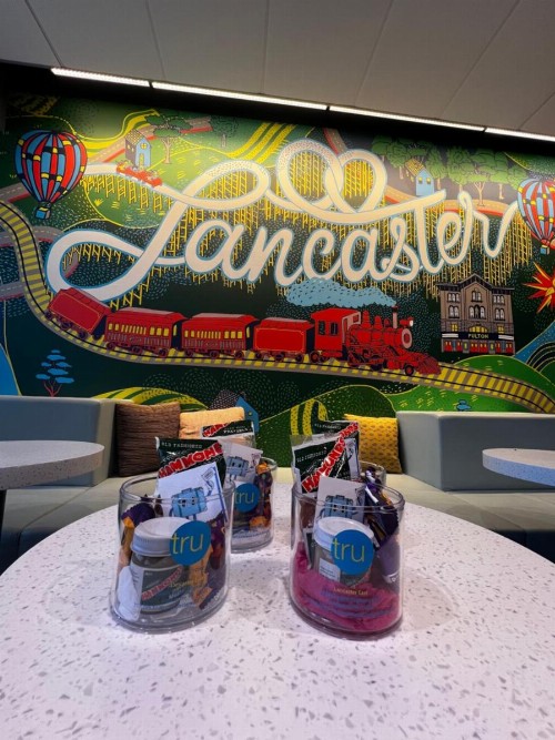 Tru By Hilton Lancaster East - image 37