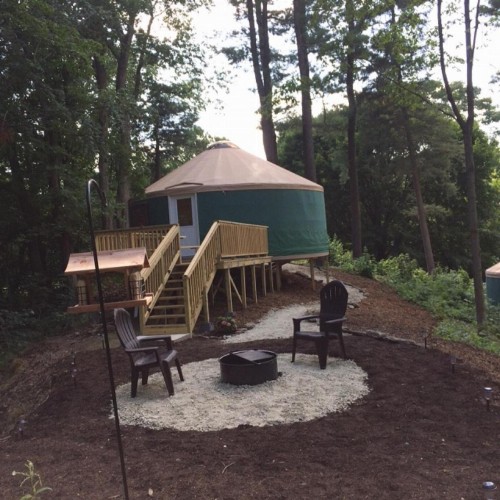 Circle M Camping Resort 16 ft. Yurt 1 - image 11