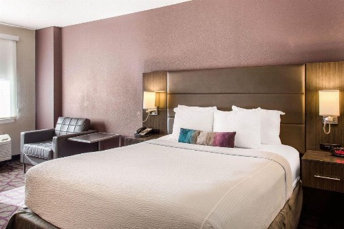 Comfort Inn - image 9
