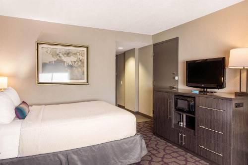 Comfort Inn - image 8