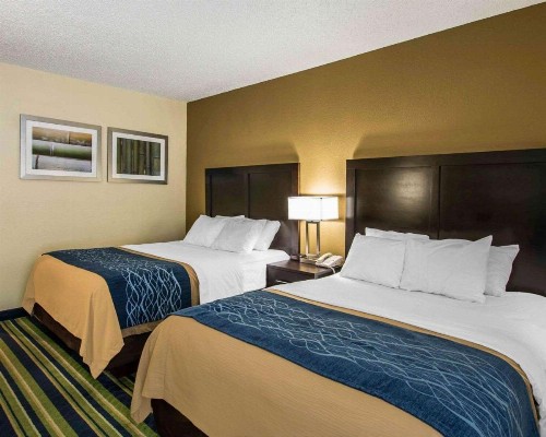 Comfort Inn & Suites Lantana - West Palm Beach South - image 14