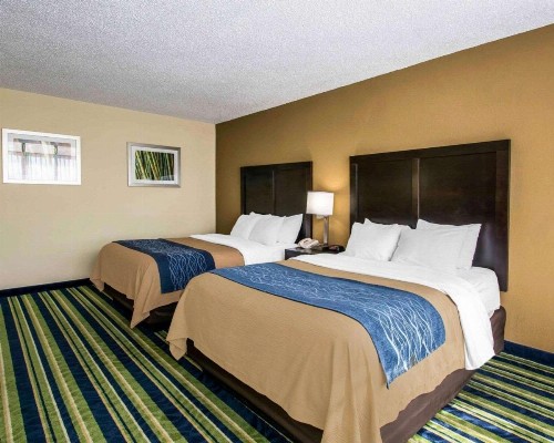 Comfort Inn & Suites Lantana - West Palm Beach South - image 17