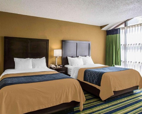 Comfort Inn & Suites Lantana - West Palm Beach South - image 18