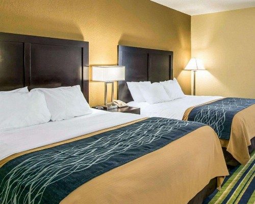 Comfort Inn & Suites Lantana - West Palm Beach South - image 6
