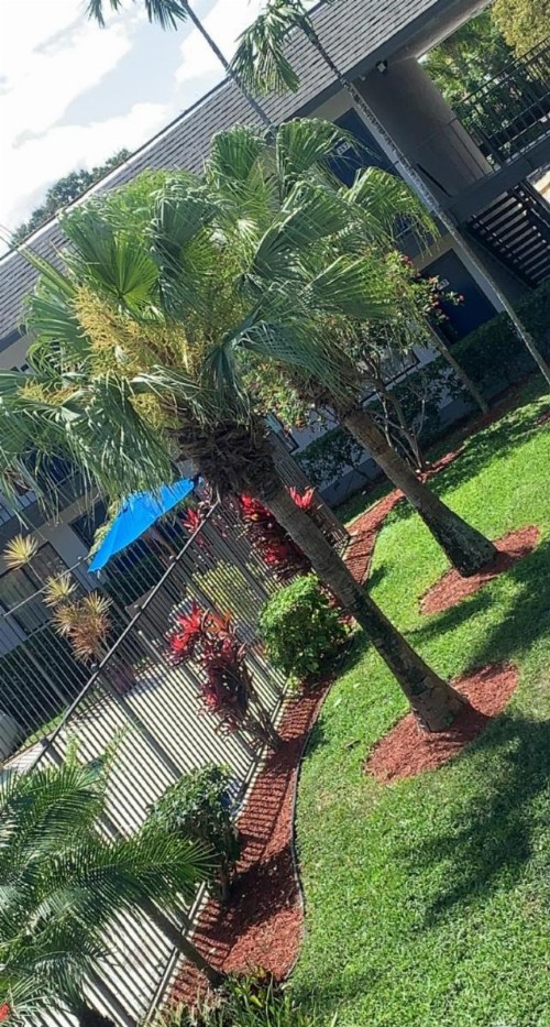 Motel 6-Lantana FL - image 22
