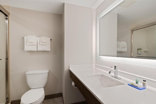 Holiday Inn Express Hotel & Suites Largo-Clearwater an IHG Hotel - image 24