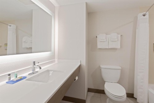 Holiday Inn Express Hotel & Suites Largo-Clearwater an IHG Hotel - image 28