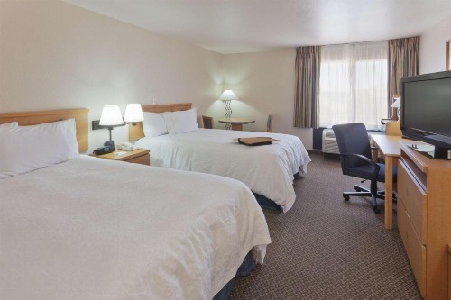 Hampton Inn Las Vegas/Summerlin - image 28