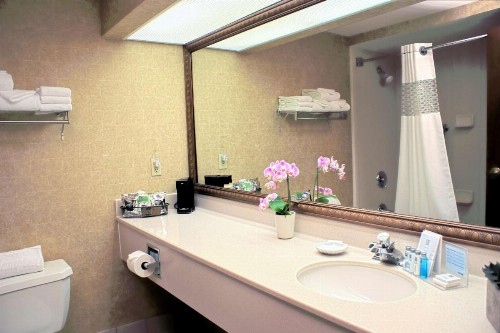 Hampton Inn Las Vegas/Summerlin - image 34