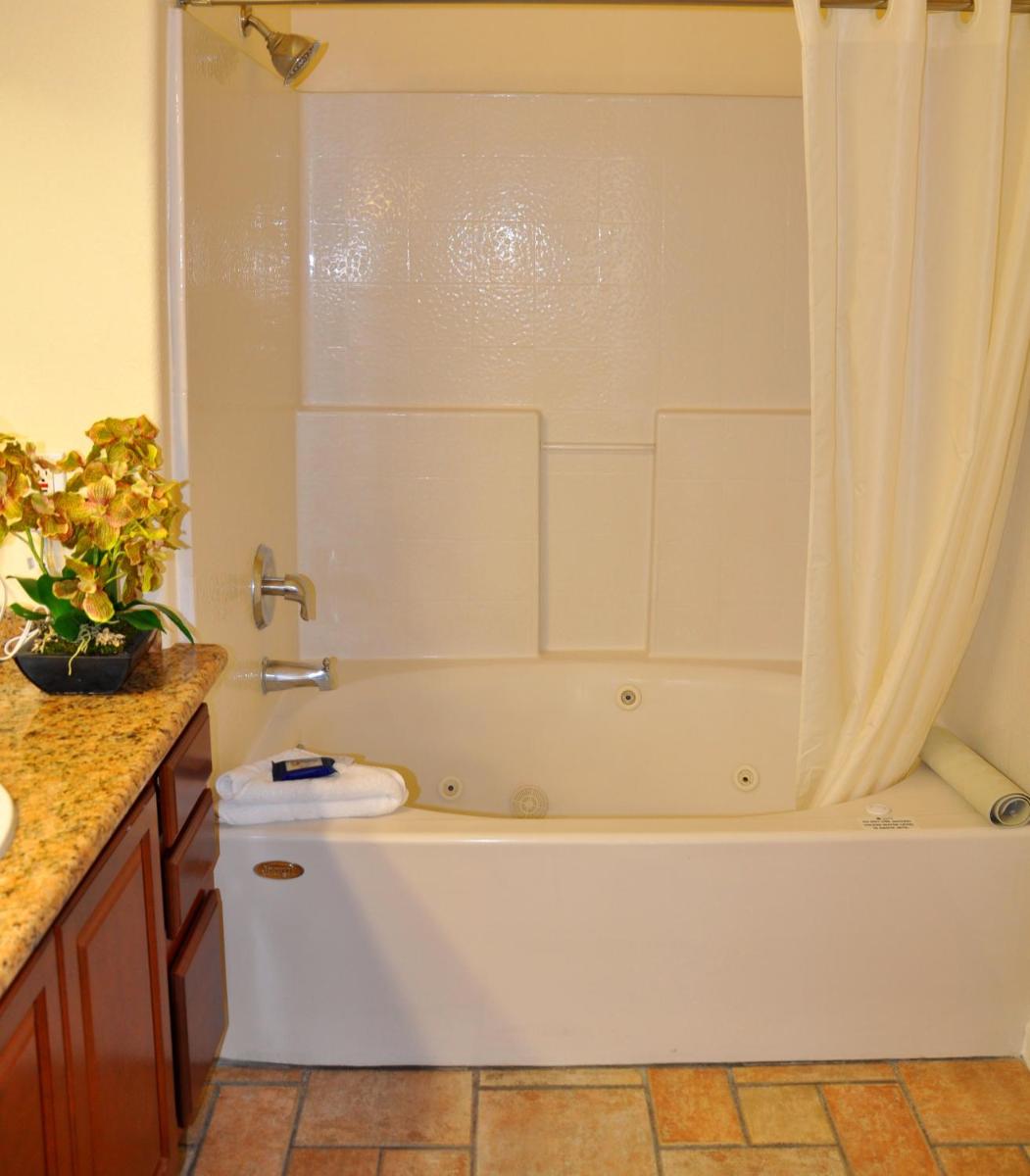 Club de Soleil All-Suite Resort - image 2