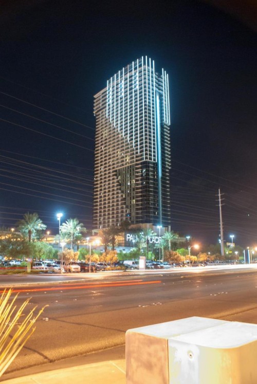 Palms Place - image 18
