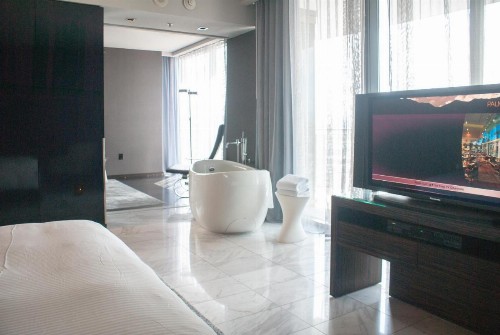 Palms Place - image 38