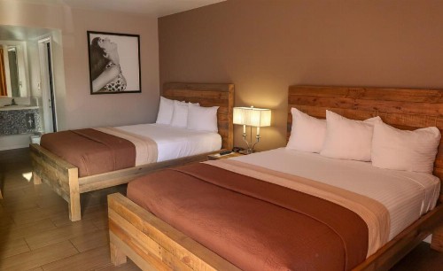 Thunderbird Boutique Hotel - image 19