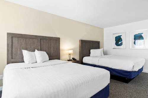 Serene Vegas Boutique Hotel - image 17