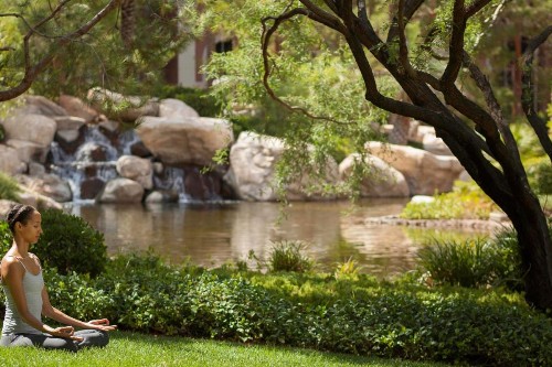 JW Marriott Las Vegas Resort and Spa - image 8