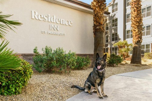 Residence Inn by Marriott Las Vegas South - image 14