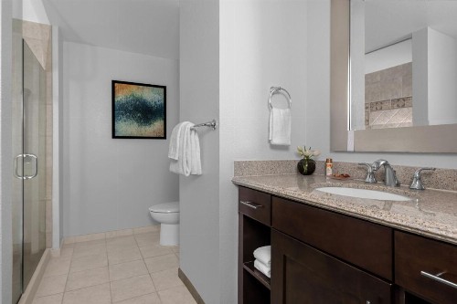 Marriott's Grand Chateau - image 13