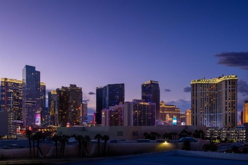 Marriott's Grand Chateau - image 28