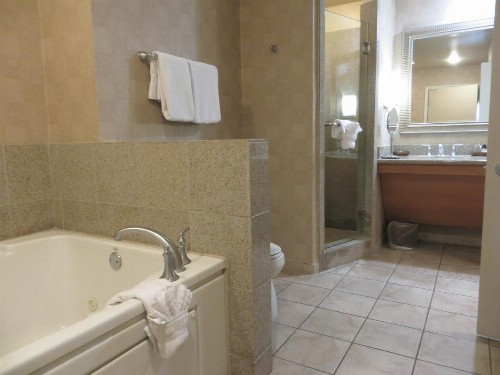 Platinum Hotel and Spa - image 26