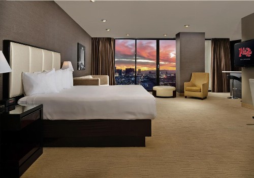 Plaza Hotel & Casino - image 23
