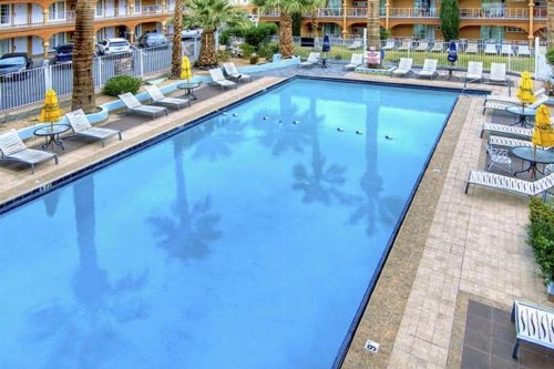 Shalimar Hotel of Las Vegas - image 11