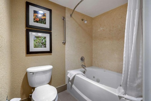 Comfort Inn Lathrop Stockton Airport - image 5
