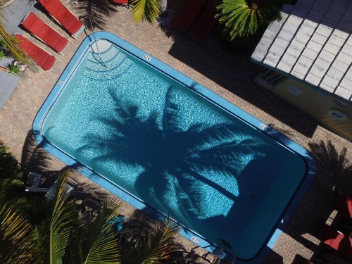 Best Florida Resort - image 33