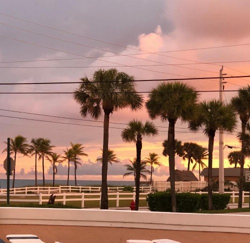 Coral Key Inn - image 39