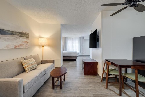 SpringHill Suites by Marriott Lawton - image 11