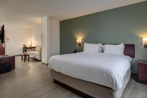 SpringHill Suites by Marriott Lawton - image 48