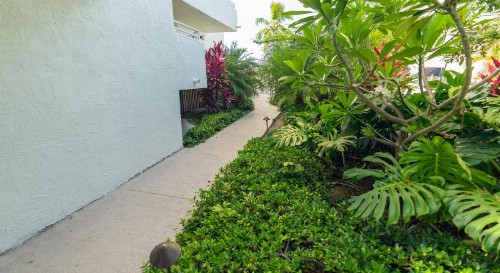 Caloosa Cove Resort & Marina - image 12