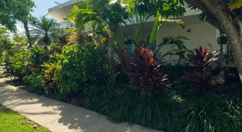 Caloosa Cove Resort & Marina - image 13