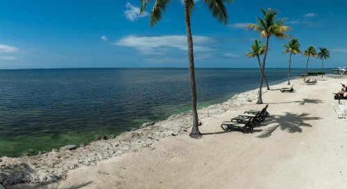 Caloosa Cove Resort & Marina - image 15