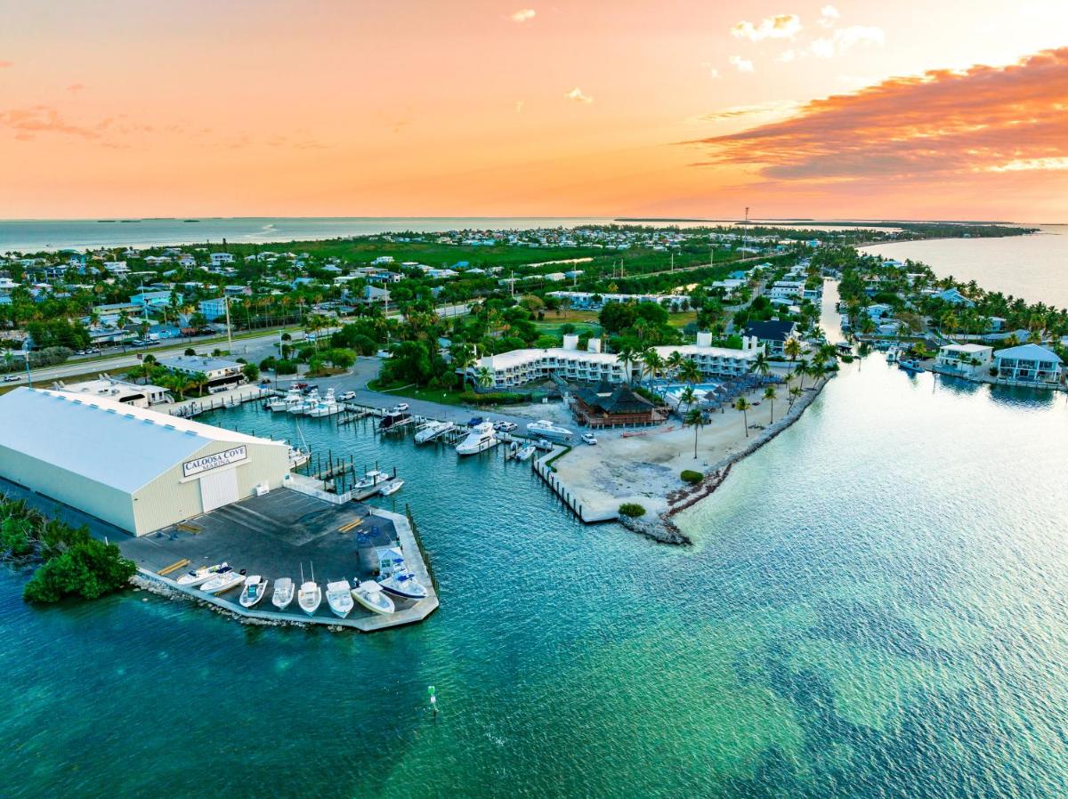 Caloosa Cove Resort & Marina - image 5
