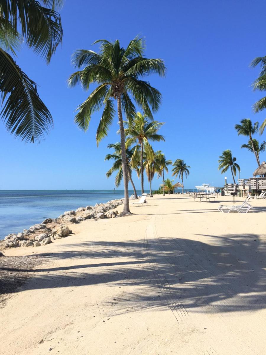 Caloosa Cove Resort & Marina - image 7