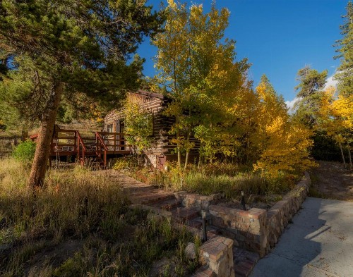 Luna's Cabin - image 7