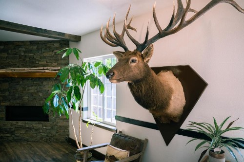 Blue Elk Inn - image 27